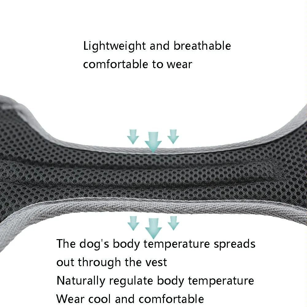 Breathable Mesh Dog Chest Straps Small