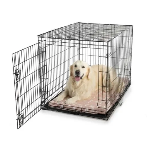 Fully-Washable Forgiveness Dog Crate Pad  Wag Collection