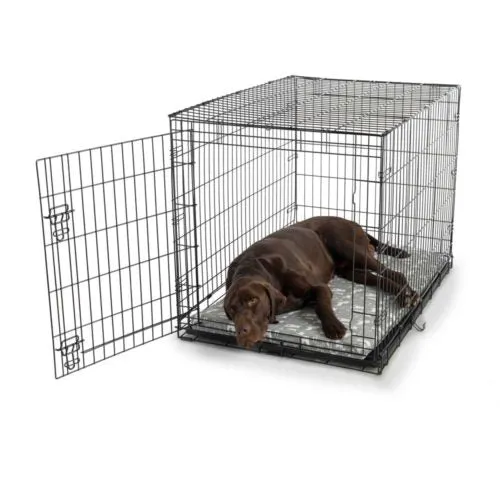 Fully-Washable Forgiveness Dog Crate Pad  Wag Collection