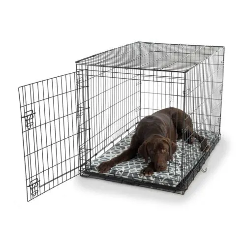 Fully-Washable Forgiveness Dog Crate Pad  Wag Collection