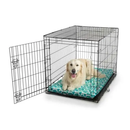 Fully-Washable Forgiveness Dog Crate Pad  Wag Collection
