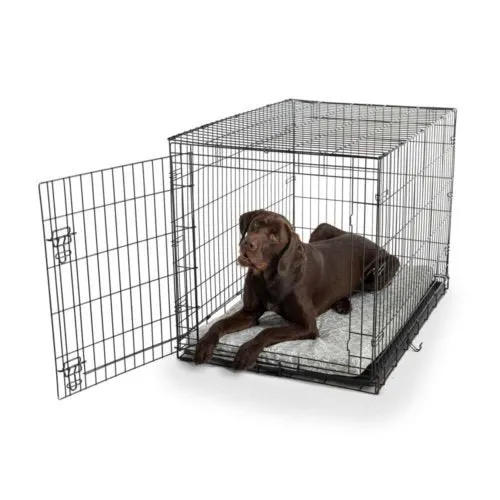 Fully-Washable Forgiveness Dog Crate Pad  Wag Collection
