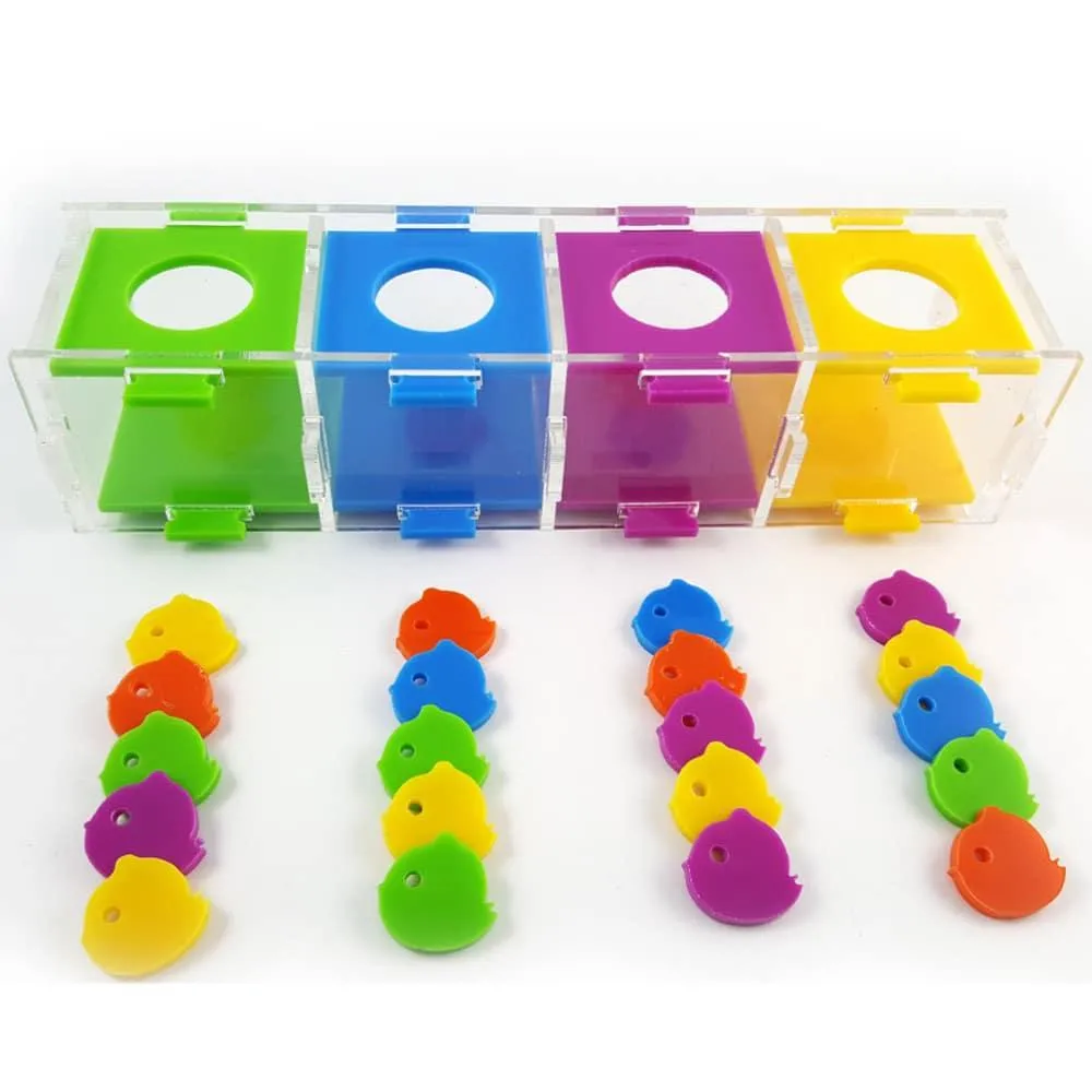 Intellectual Training Toy for Parrots