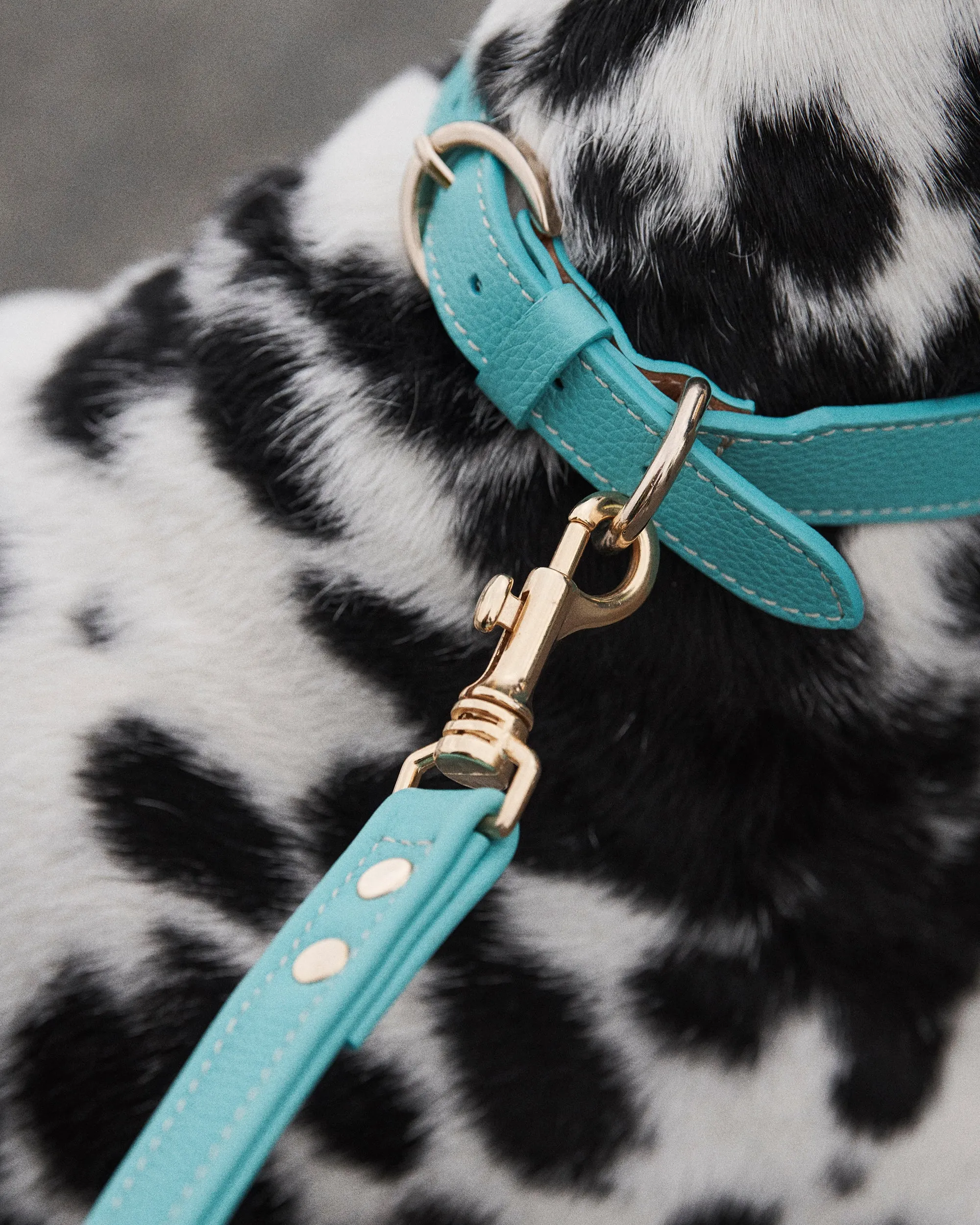 Leather Dog Leash - Paradise/Gold