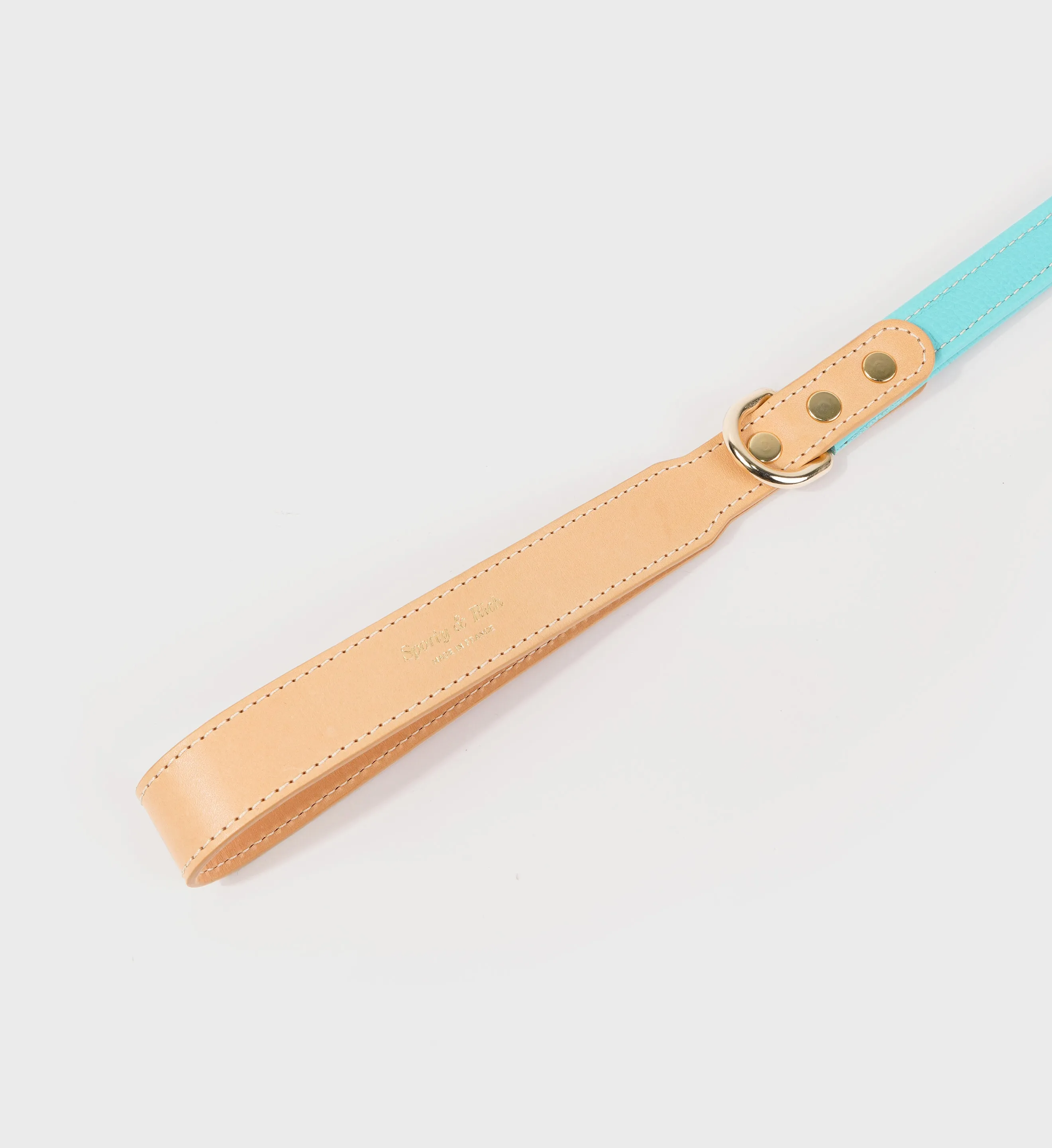 Leather Dog Leash - Paradise/Gold