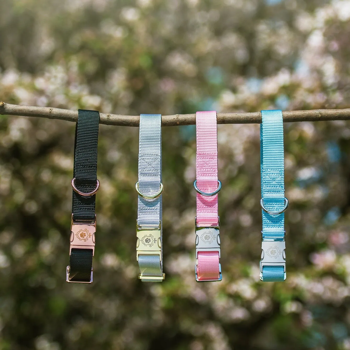 Opal Leash