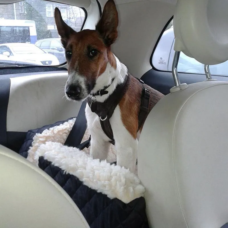 Pet Clever's Portable Pets Car Carrier Basket