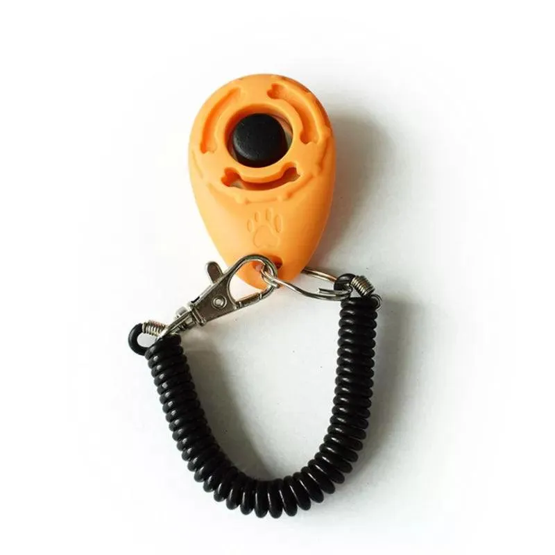 Precision Pet Clicker Training Cats Dogs Ease