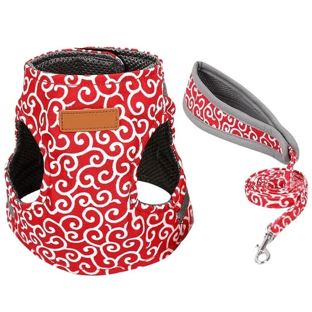 Travel Harness Leash Set for Puppy